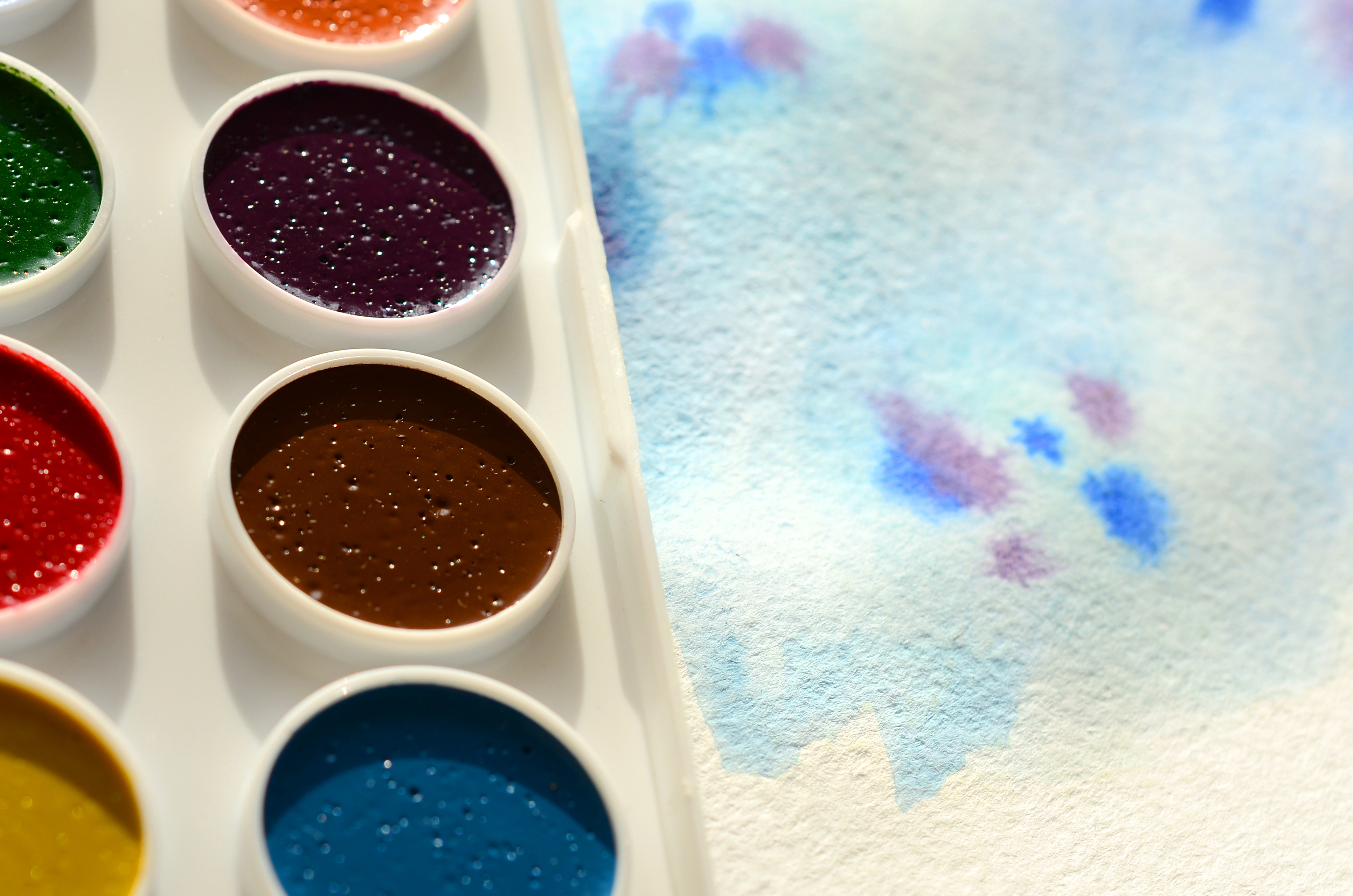 <p><span style="color: #34495e;"><strong><span style="font-size: 24pt;">Watercolor &amp; Ink</span></strong></span></p>