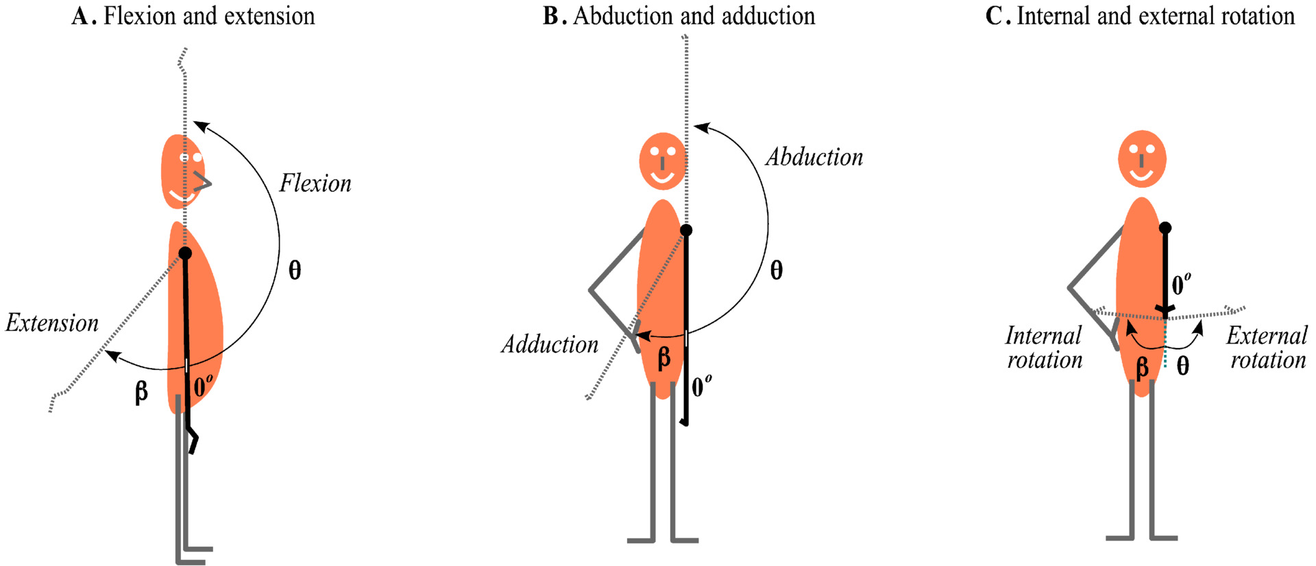 The science of mind and decision making