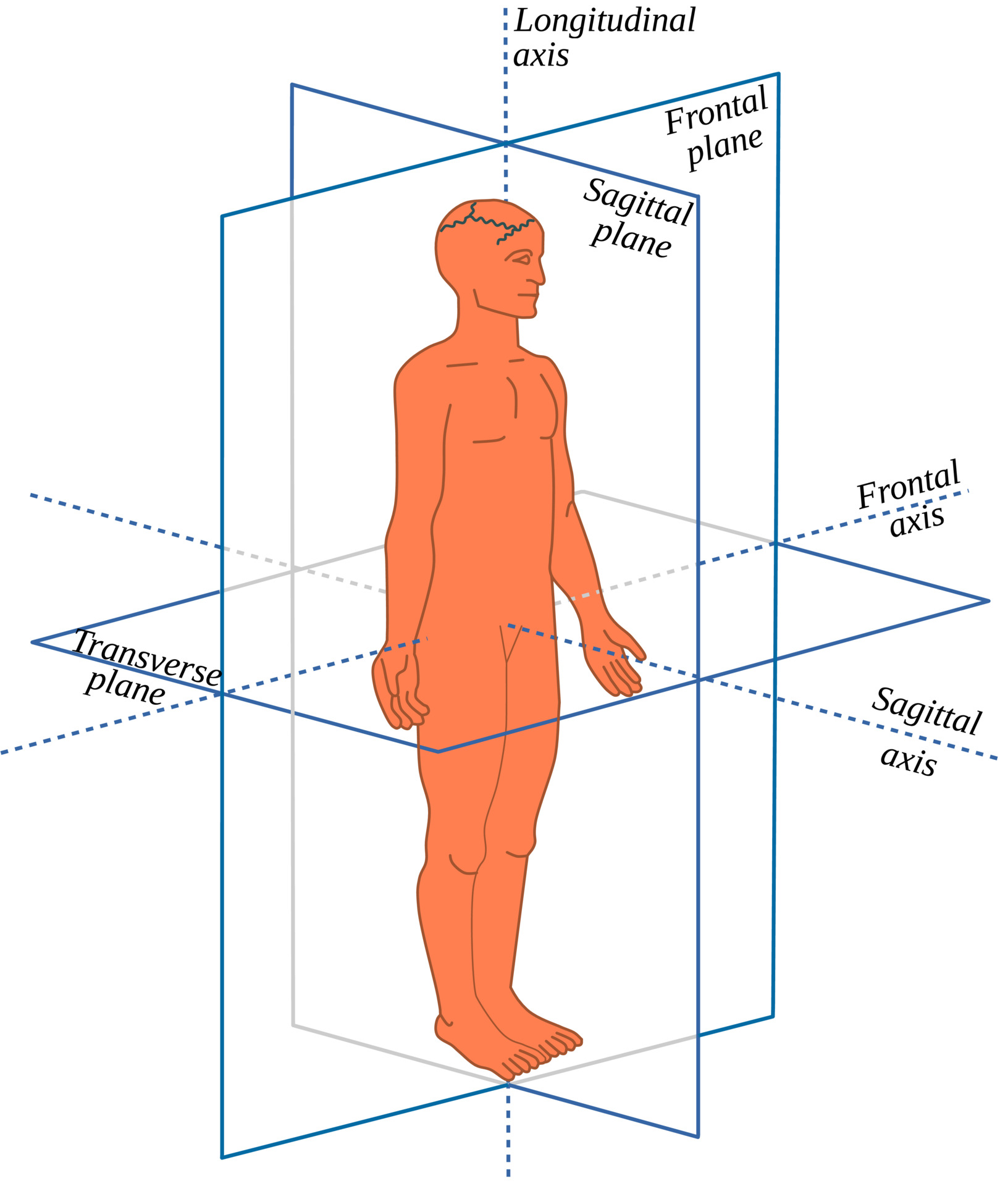 The science of mind and decision making