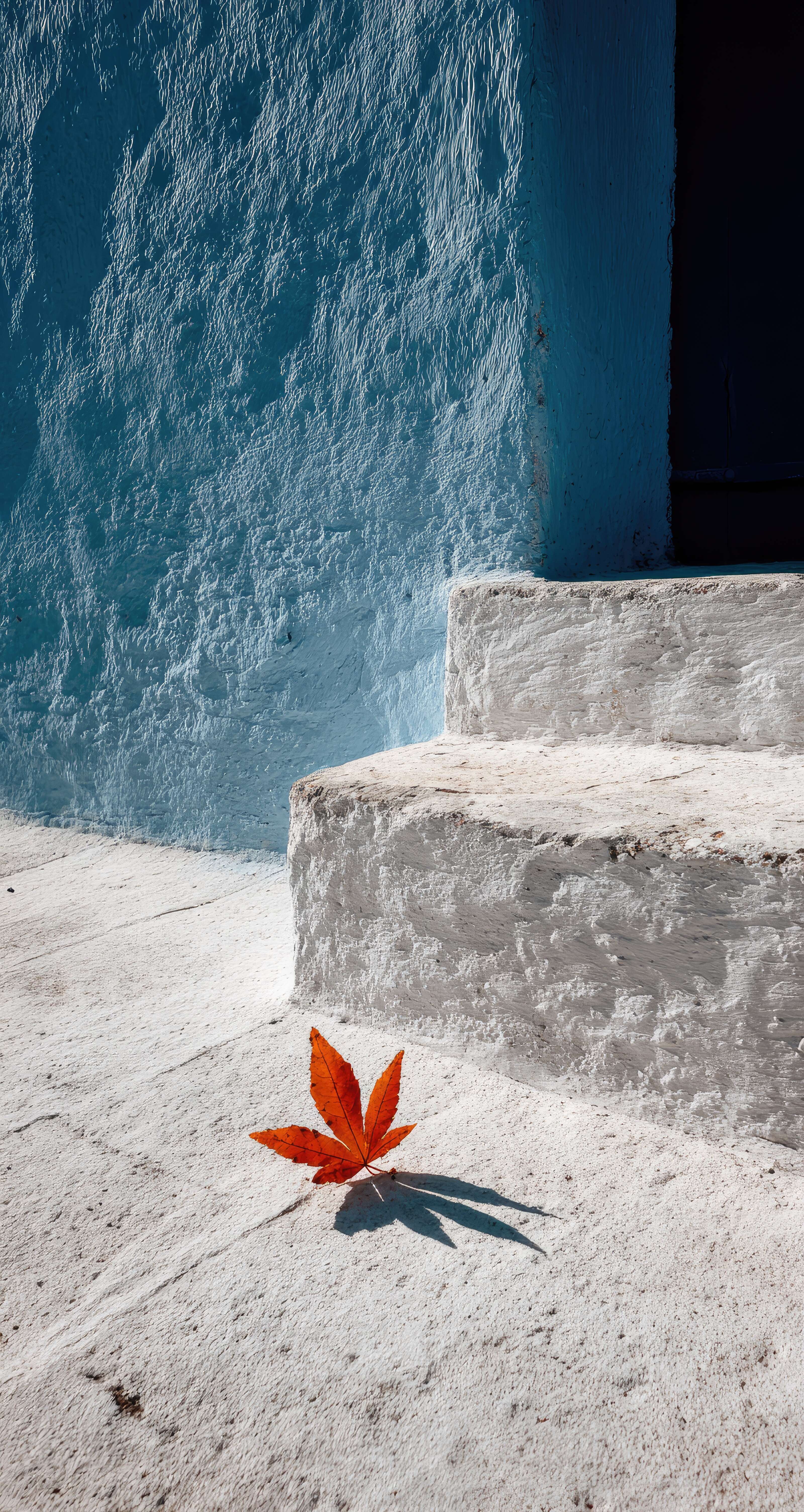 The science of mind and decision making